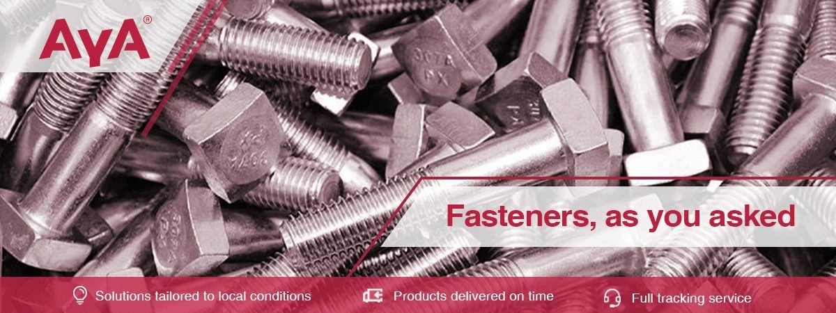 Stainless Steel Square Head Bolts