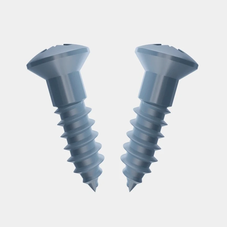 Raised Countersunk Wood Screws